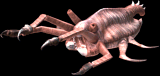 Insatiable Maw